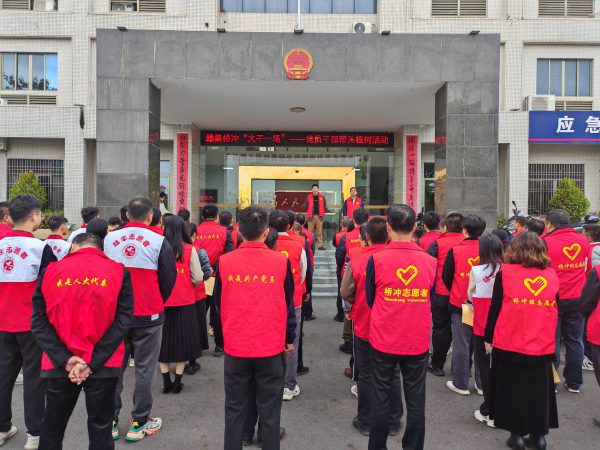 绿美乡村  桥冲人大助力