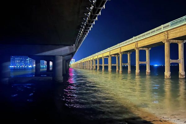 甲东大桥夜景