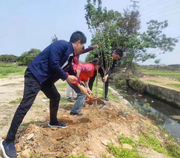 甲东镇雨亭村开展干道植树活动