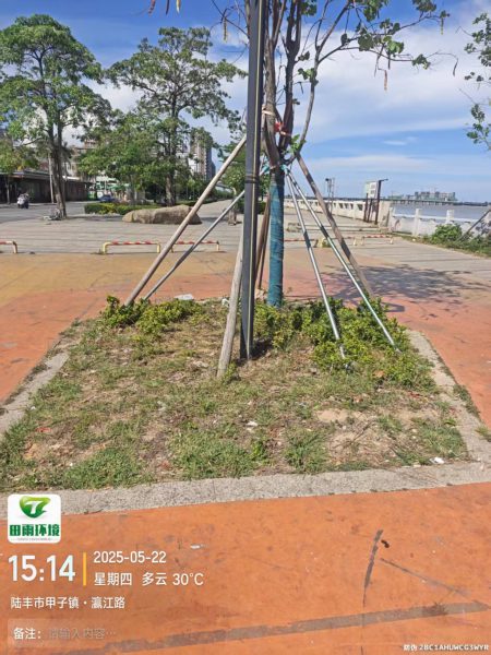人大代表助力人居环境整治工作
