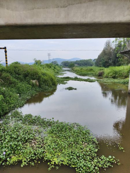 防溺水巡查