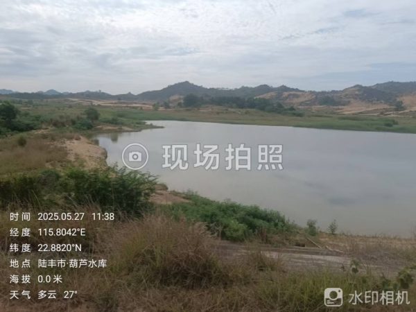 东竹村