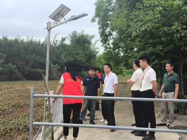 人大代表视察镇村防溺水设施建设情况