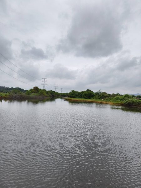 防溺水
