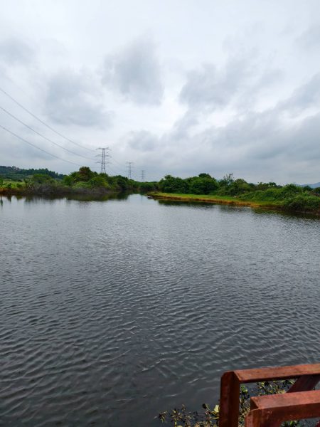 防溺水