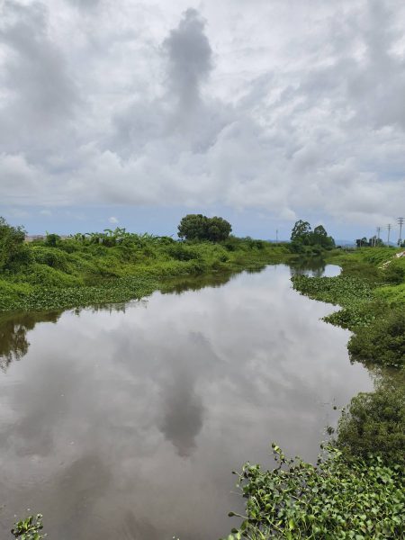 雨天巡查排涝