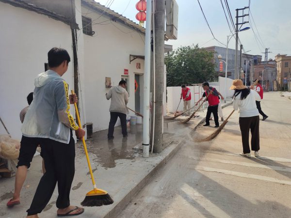 人大代表助力乡村环境卫生整治