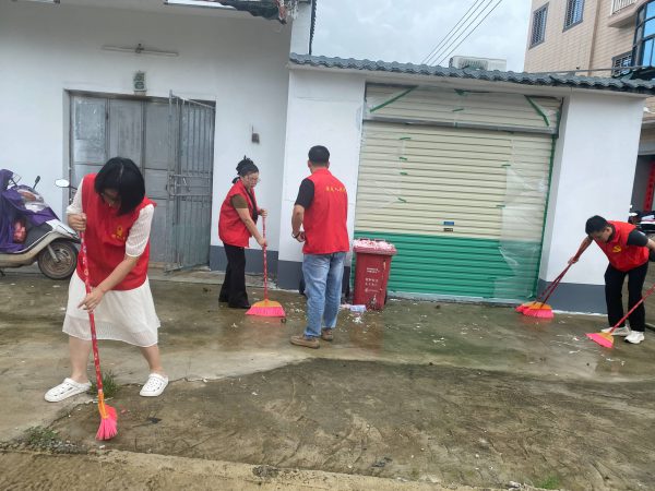 清积水，防蚊灭蚊行动