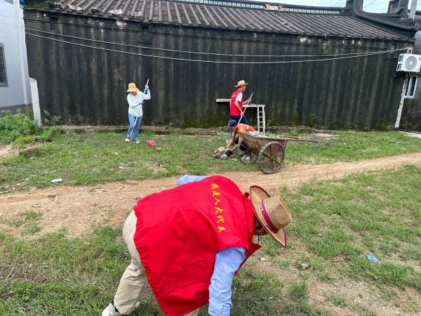 基孔肯雅热防控