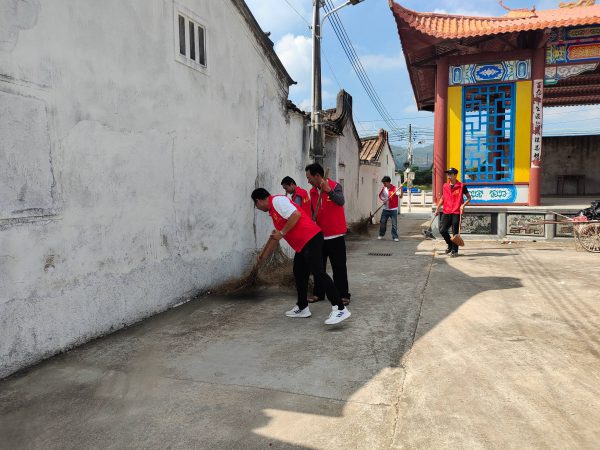 人大代表助力村爱国卫生运动