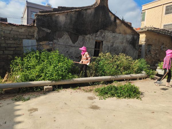 人大代表助力乡村环境卫生整治